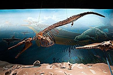 《瑞奇与叮当：分离》7月26日登陆PC 国区414