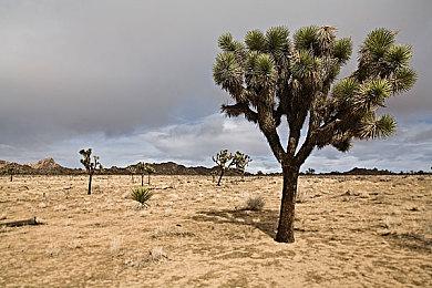 外媒评2021年优化最好的PC游戏TOP10：《光明记忆：无限》上榜