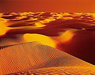 战地2042下载慢怎么办？免费加速提速下载方法分享